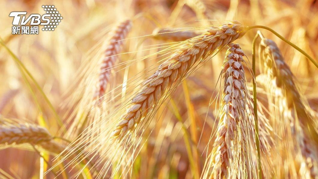 糧食武器化下的完美風暴 強化「綠色金融」戰略思維