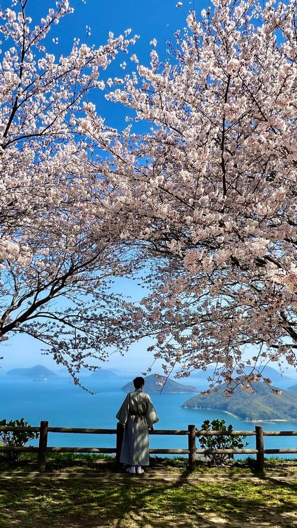 紫雲出山打卡熱點。(圖/亞洲旅遊台提供)