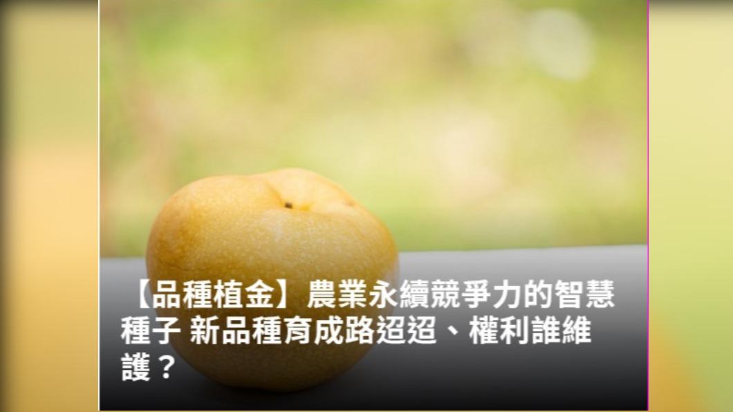 華文永續報導獎/品種植金:農業永續的智慧種子、權利誰維護?