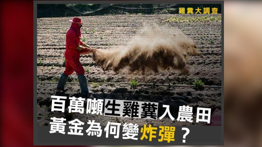 華文永續報導獎/雞糞大調查:百萬噸生雞糞入農田,黃金為何變炸彈?