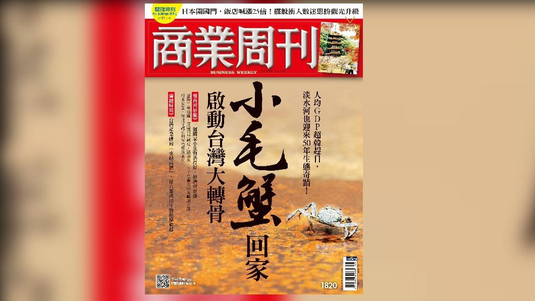 華文永續報導獎／小毛蟹回家　啟動臺灣大轉骨
