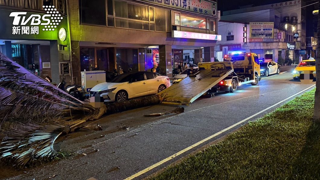 花蓮大貨車駕駛酒駕!迴轉衝撞分隔島 路樹「斷裂倒塌」波及汽車