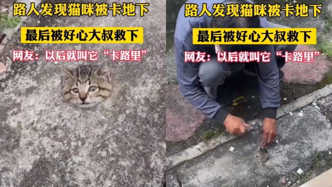 民眾在路上看到一顆貓頭,嚇得急忙向他人求救。(圖/翻攝自微博)