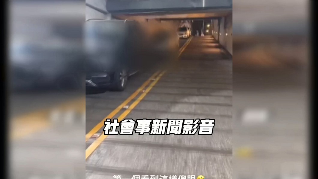 圖/翻攝自 社會事新聞影音