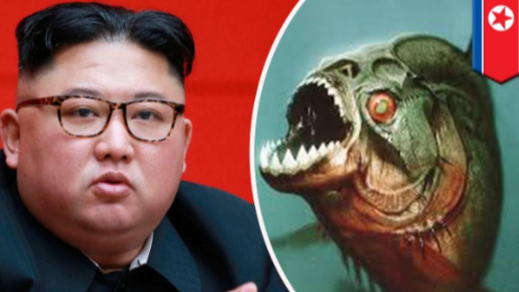 金正恩變態處決新招! 軍官遭剖開放血「丟魚缸餵食人魚」