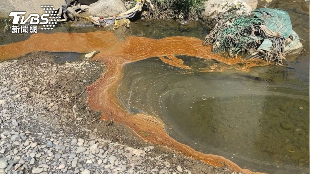 三峽河現魚屍!新北查獲廢食用油污染 最高恐罰600萬