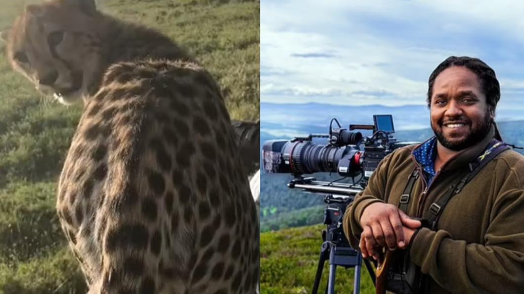 為搏觀眾同情! BBC攝影師自曝:偽造野生動物拍攝場景