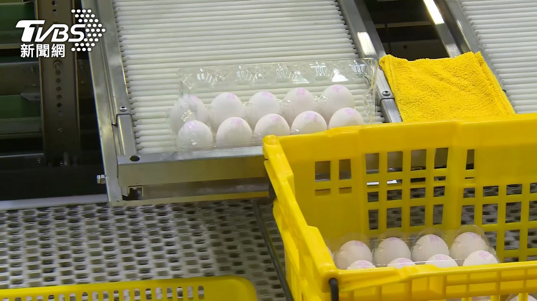 雞蛋再降價！買氣難回溫　美廉社宣布所有盒裝蛋降2元