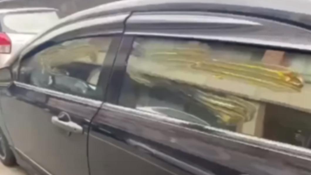 車主的擋風玻璃被塗抹黃油。(圖/翻攝自記者爆料網)