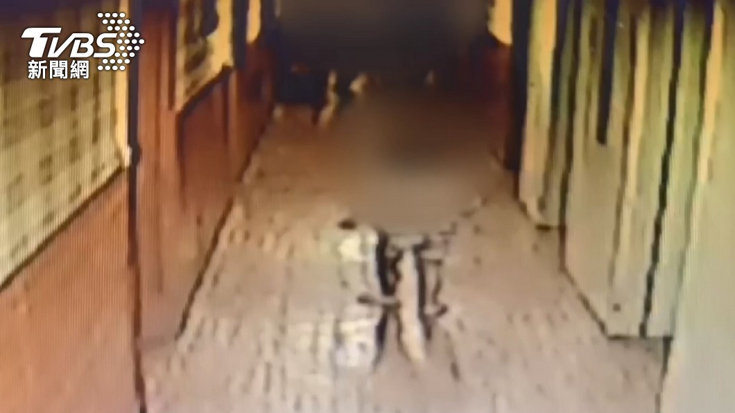 台男一名兩歲男童疑似被虐慘死。(圖/TVBS)
