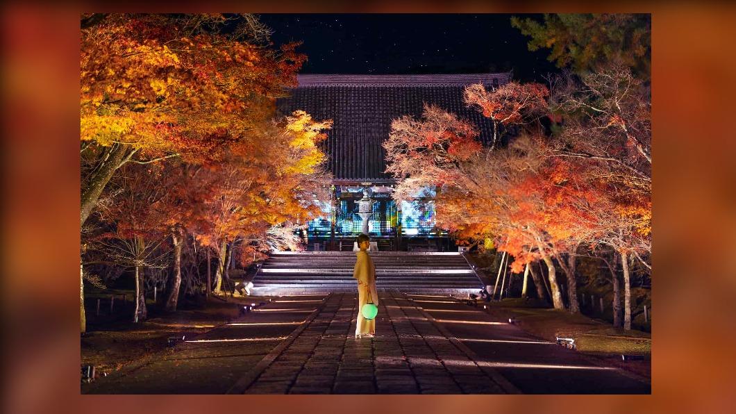秋遊日本京都 夜楓熱點.二條城絕美光雕秀