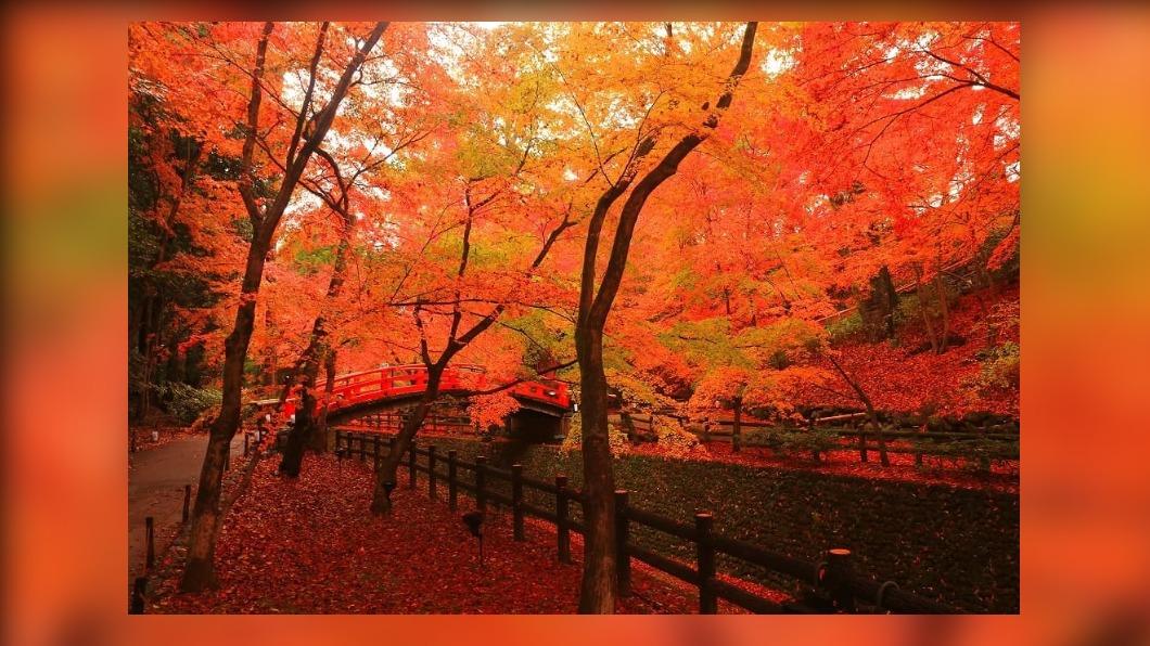 北野天満宮。(圖/京都市台灣推廣事務所 京都市觀光協會 NAKED,INC. 提供)