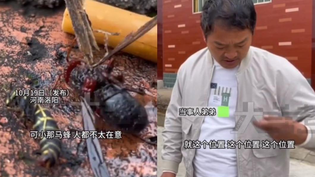 誤踩虎頭蜂「慘遭報復」!痛螫3下秒窒息 陸男心臟驟停亡