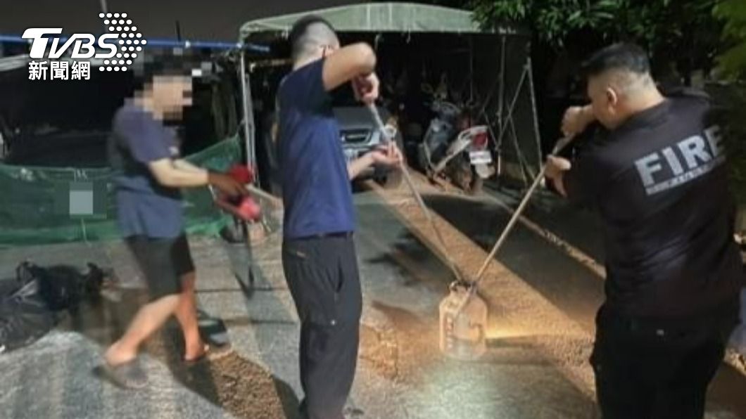 農業處和消防人員合力捕蛇。(圖/TVBS)