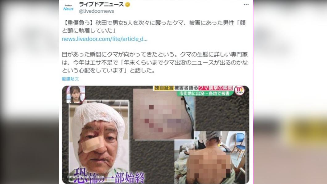 日本秋田縣今年遭遇熊襲擊的死傷數大幅攀升。(圖/翻攝自@livedoornews 推特)