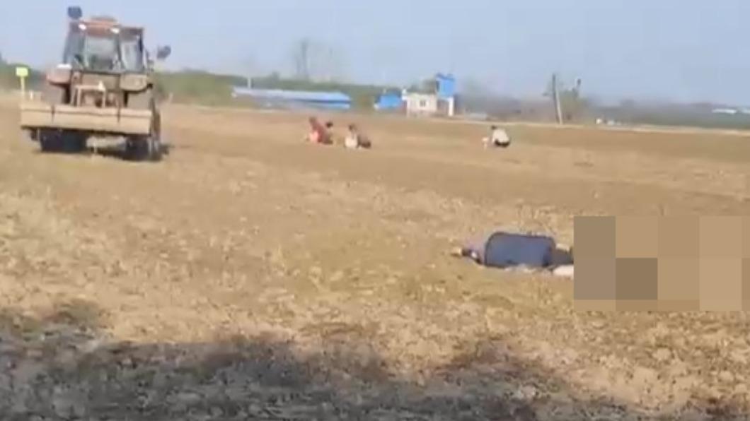 撿花生捲進收割機！他目睹老伴「絞碎奪命」　絕望趴屍痛哭