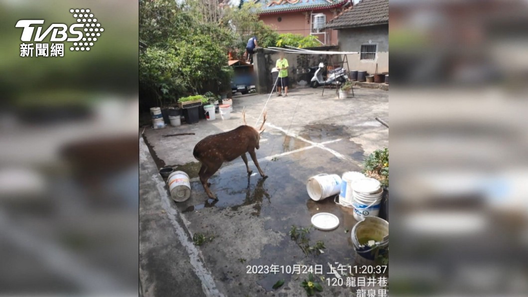 圖/TVBS