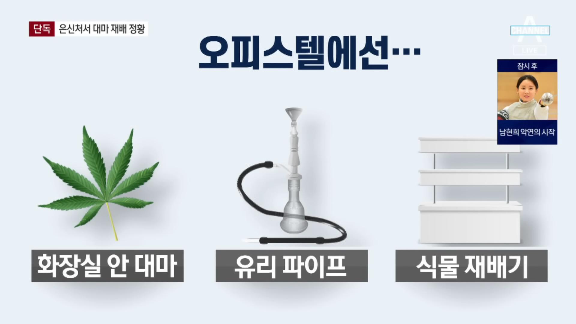 女幹部的朋友家中搜出大麻、吸食器跟栽培大麻的道具。(圖/翻攝自channelA-news YouTube)