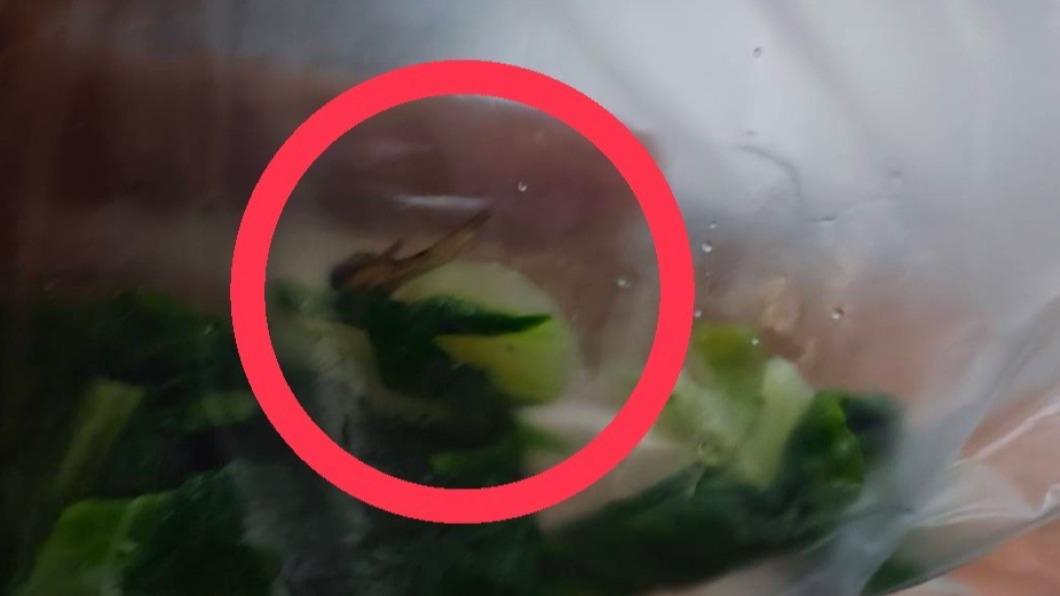 還好學生未食用，將依現行契約規定記廠商１點，罰款１０００元。（圖／基隆市政府提供）