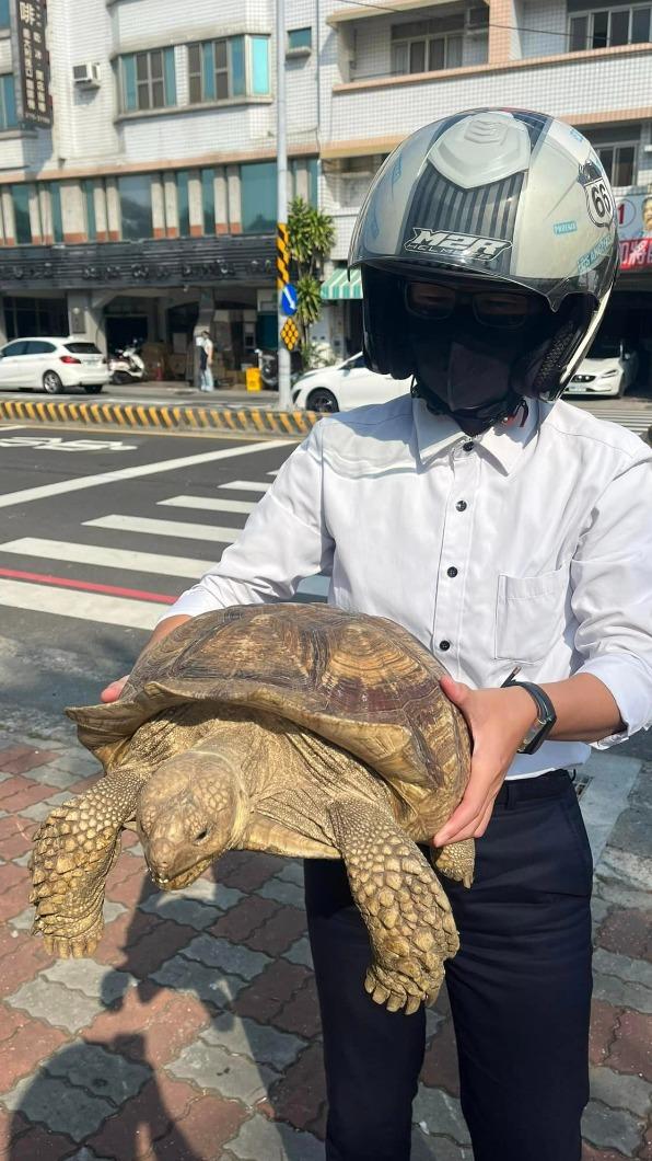 最後烏龜順利回家。(圖/翻攝自台南大小事臉書)