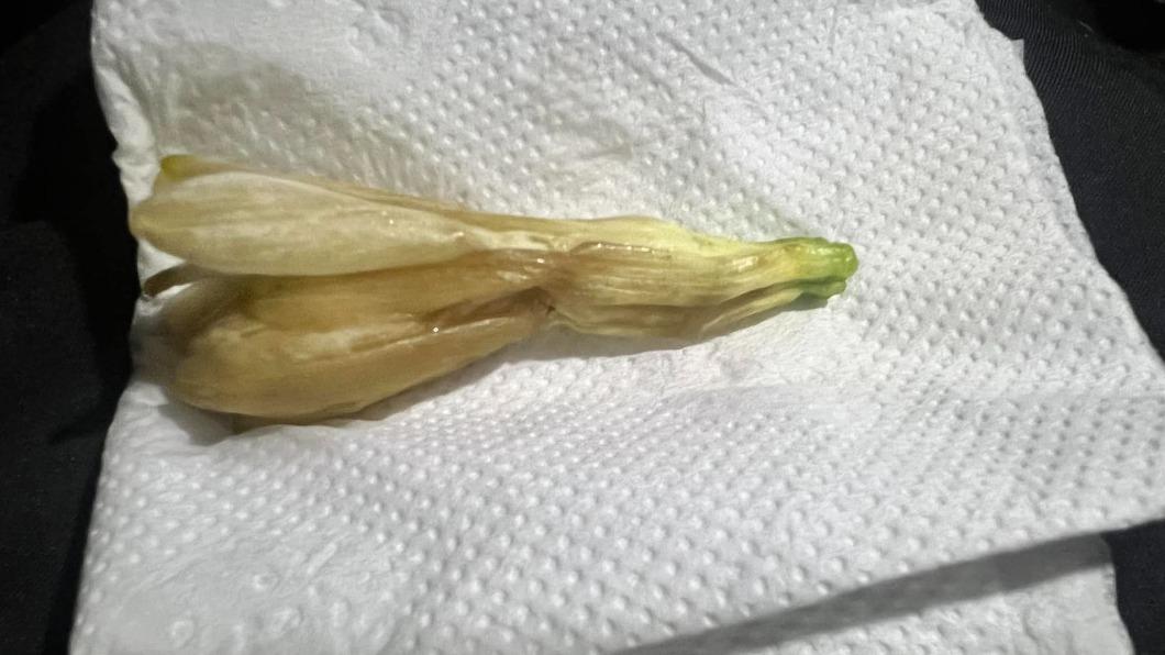 好心男「幫阿婆買玉蘭花」 下秒1幕他無奈:愛心被利用