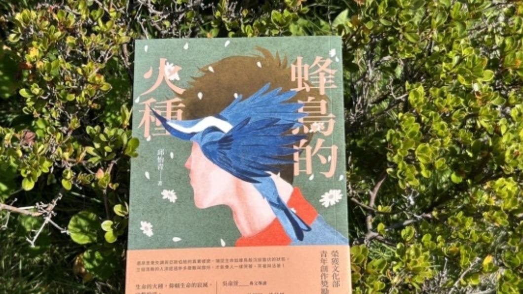 邱怡青小說「蜂鳥的火種」 3個落難者的相知相惜