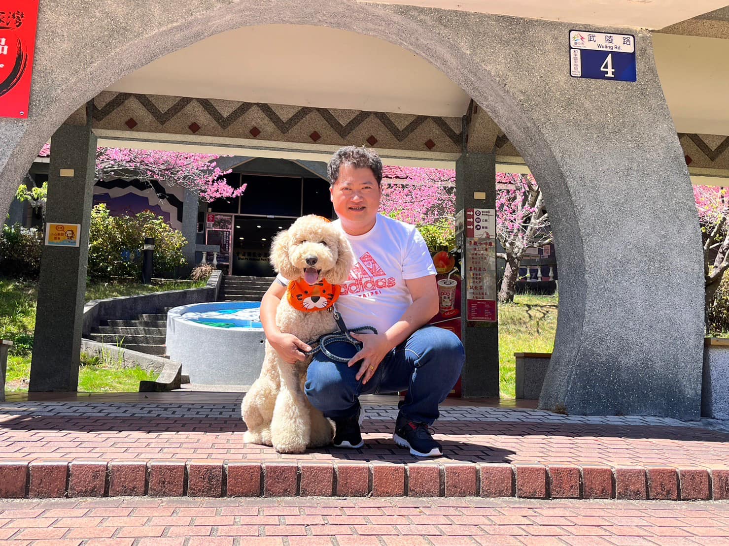 愛護動物的朱毅君,常帶愛犬「冬菇」參加各大活動。(圖/翻攝朱毅君臉書)