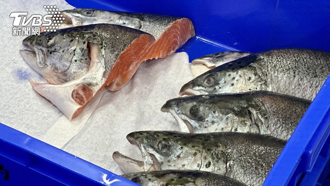 剖頭機每小時平均可處理1300顆魚頭。(圖/許稚佳攝)