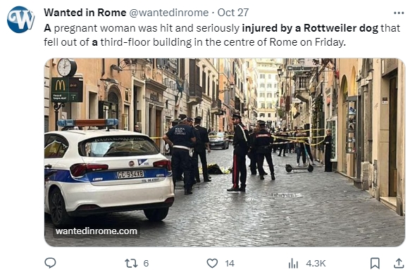 義大利知名大街突降下一隻羅威納犬。（圖／翻攝自X@wantedinrome）