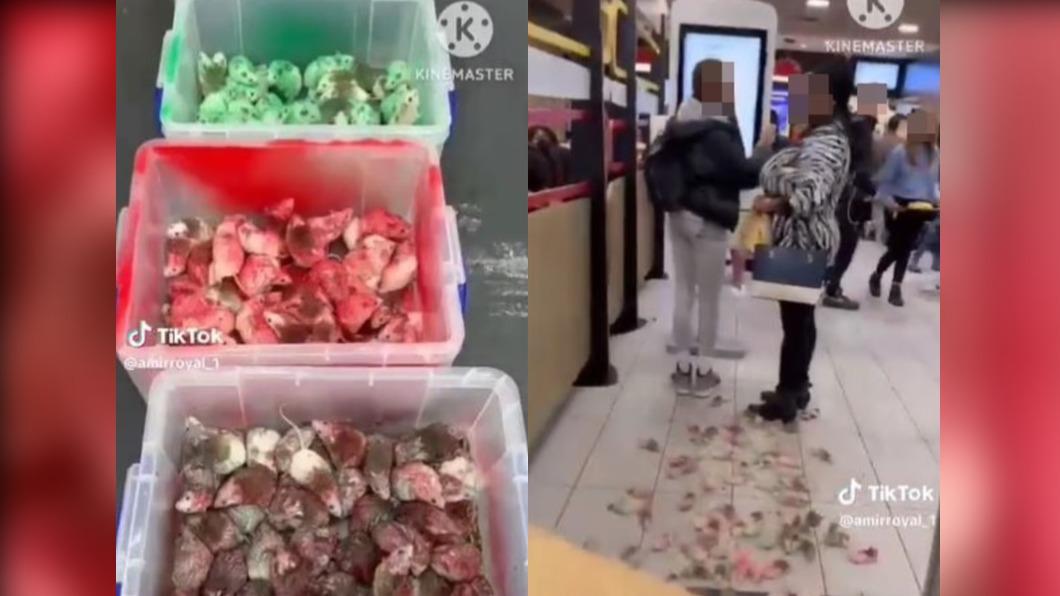 有片/報復麥當勞挺以國 挺巴勒斯坦者活老鼠「塗國旗色」扔店