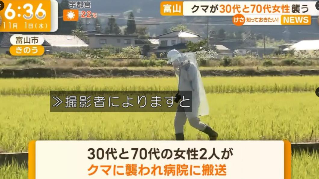 富山市也傳出熊入侵住宅傷人意外。(圖/翻攝自X@yuruhuwa_kdenpa)