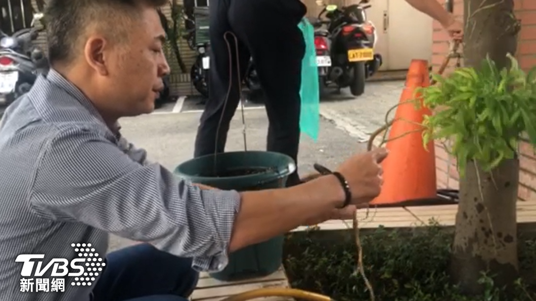 緝毒戰力滿滿?辦公室頻飄九層塔味 警進行「大麻告別式」