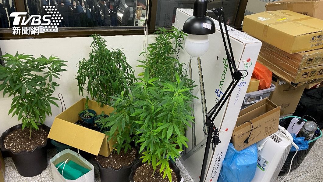 辦公室頻飄出大麻味。（圖／TVBS）