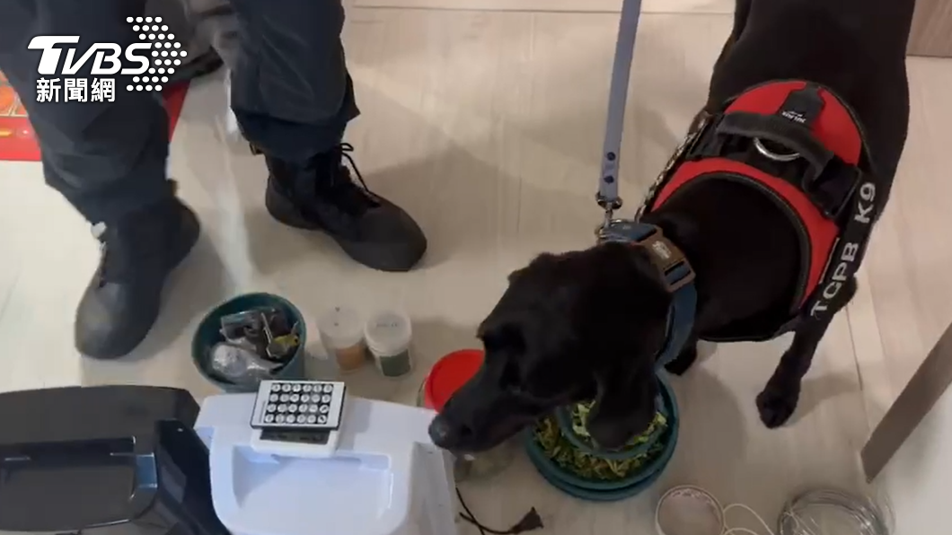 緝毒犬協助嗅聞出毒品。（圖／TVBS）