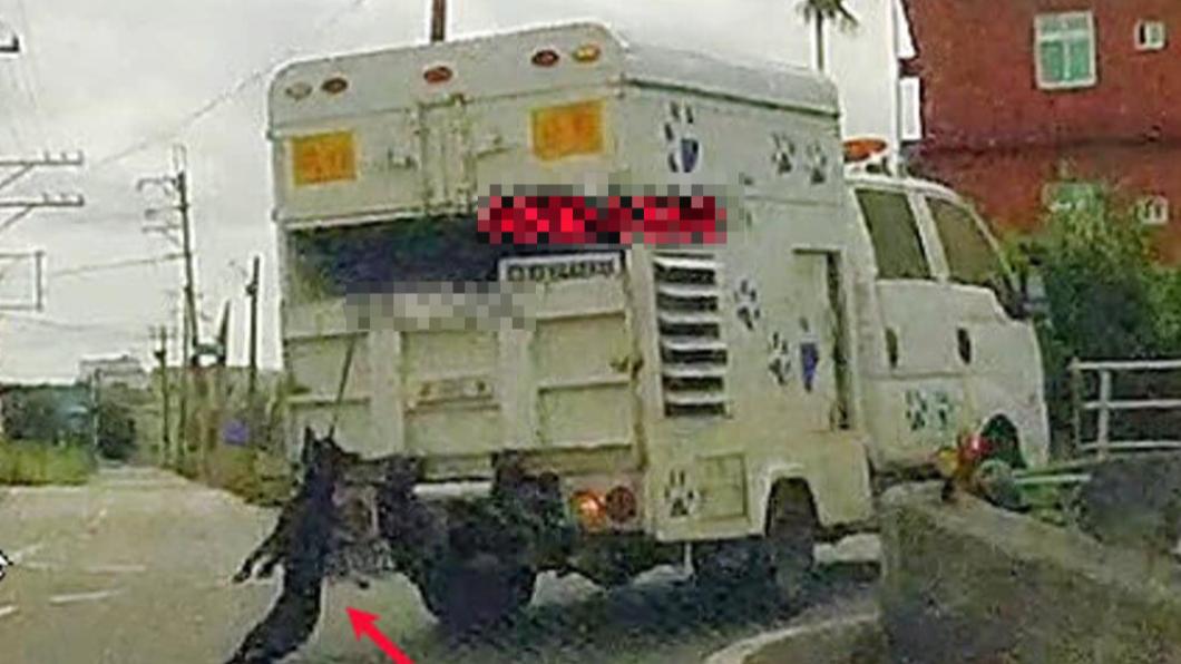 桃園動保處車「拖行黑狗」數公里斷氣身亡?農業局急曝真相