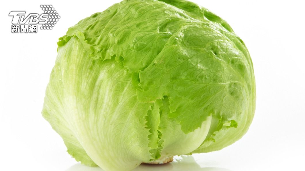 「洋生」指西生菜、結球萵苣。(示意圖/shutterstock達志影像)
