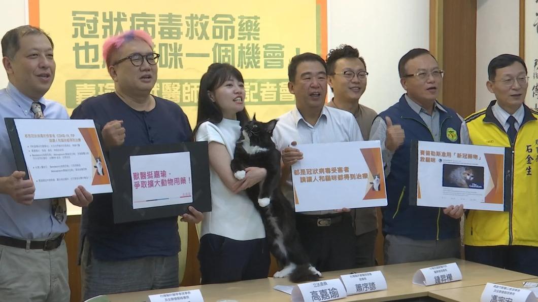 姚文智翻版？「Togi不著蝕把米」再現　高嘉瑜抱貓姿勢惹議