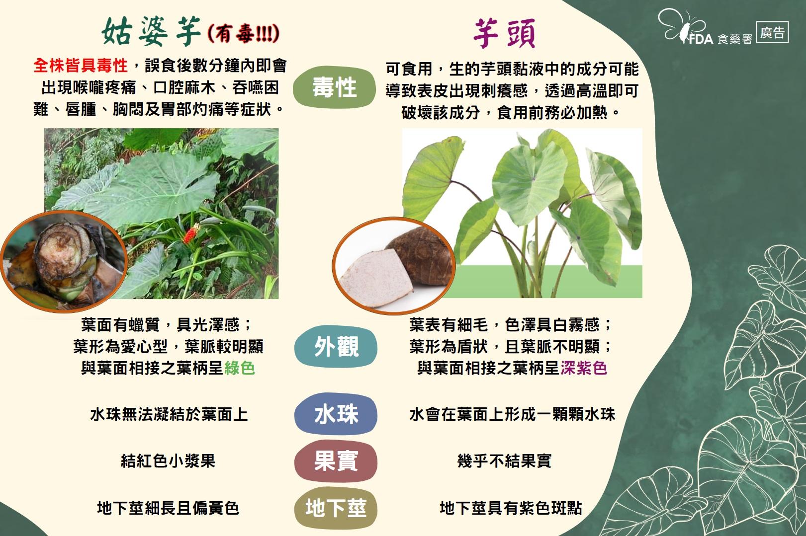 食藥署衛教文宣。（圖／食藥署提供）