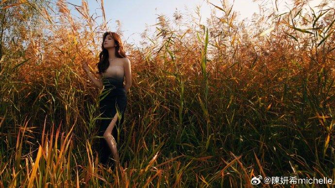 陳妍希在芒草叢間拍照。(圖/翻攝自陳妍希微博)