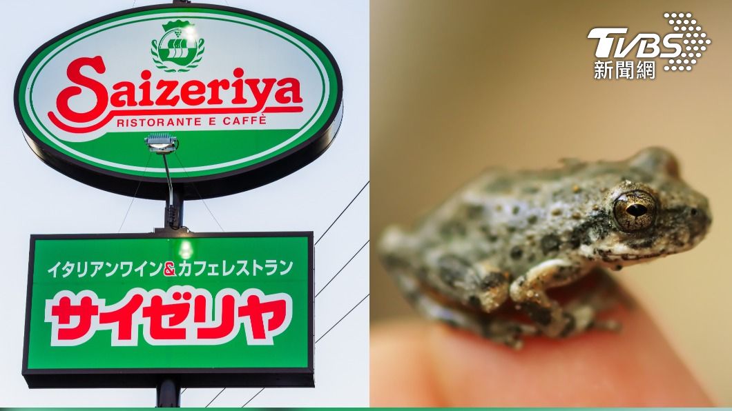 日本薩莉亞「沙拉驚現青蛙」 吃一半跳出嚇傻