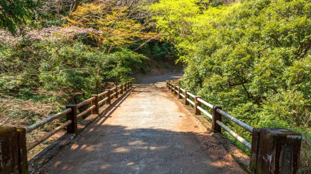 這起事件發生在靜岡縣要害橋。(圖/翻攝自THE 伊豆ジオ遺産)