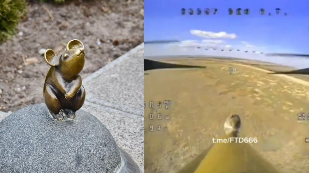有片/傻老鼠誤上「自殺無人機」衝撞烏克蘭 俄軍幫立紀念碑
