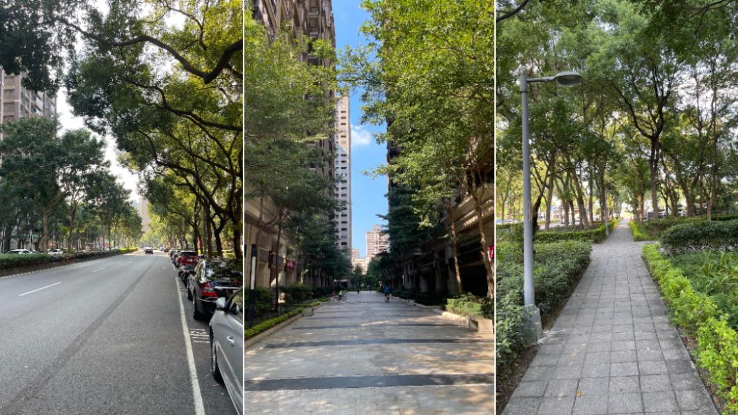 原PO拍下三峽北大特區綠樹成蔭的道路與人行道。(圖/翻攝自PTT)
