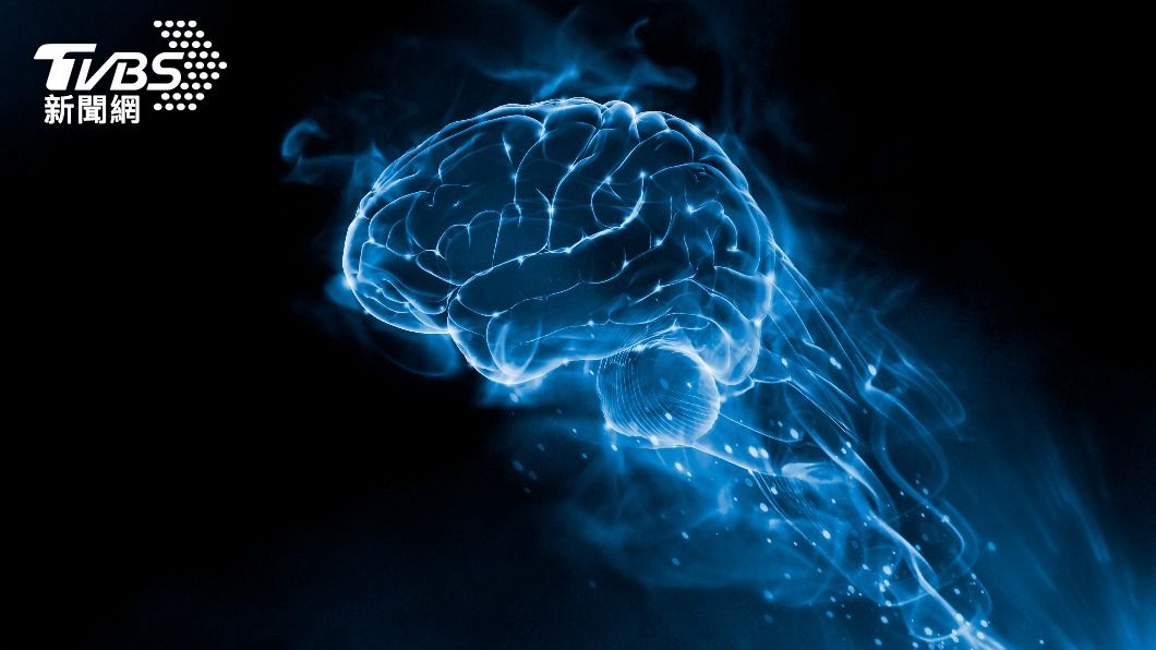 傳聞普欽致力於將大腦數位化的可能性。(示意圖/Shutterstock達志影像)