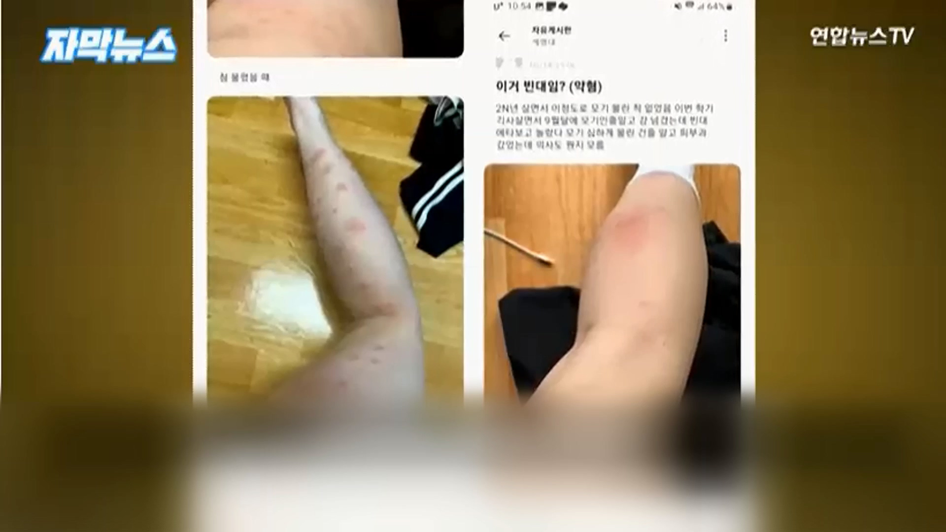 圖/YonhapnewsTV提供
