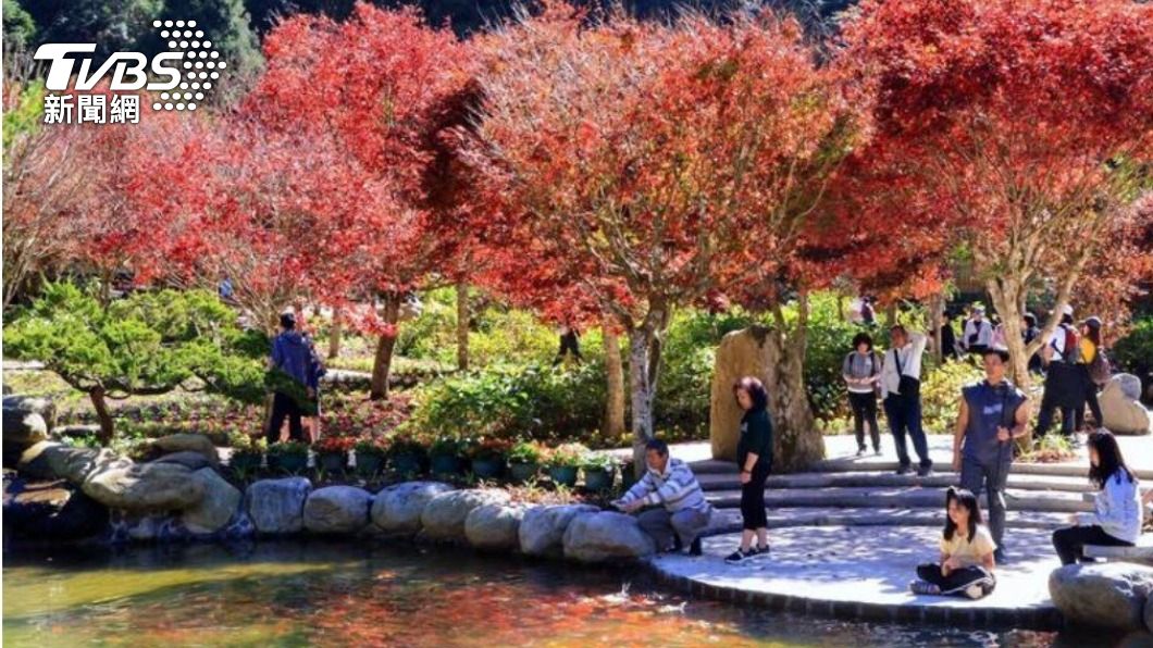 杉林溪日月池楓紅倒影原來是錦鯉傑作