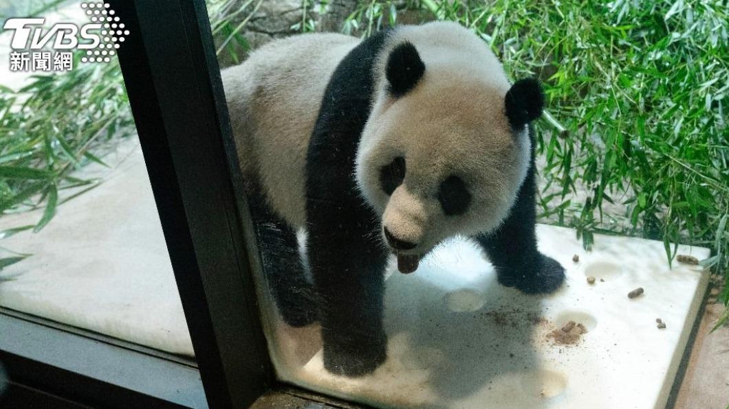 美中昔日交好時代象徵 華府動物園大貓熊全送回中國大陸