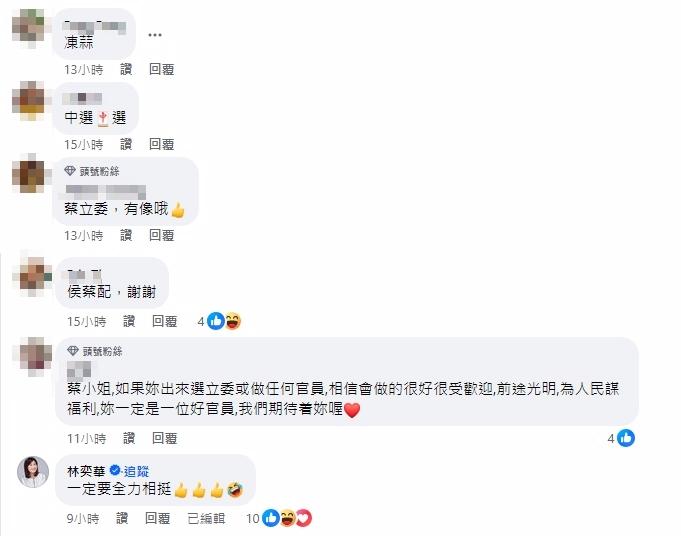 不少網友支持參選。（圖／翻攝自蔡依珊臉書）