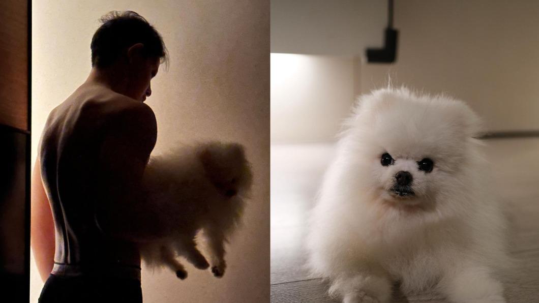 敖犬怕敖弟咳嗽聲影響發發睡眠，一人一狗在沙發上睡。（圖／翻攝自發發IG）