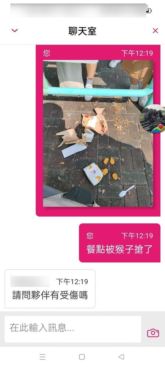 外送員送餐被獼猴搶餐。(圖/翻攝自 外送員的奇聞怪事臉書社團)